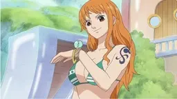 This is the answer! The true identity of Nami, hidden for over 25 years!