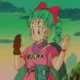 Bulma